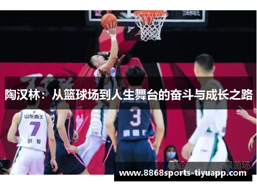 陶汉林：从篮球场到人生舞台的奋斗与成长之路